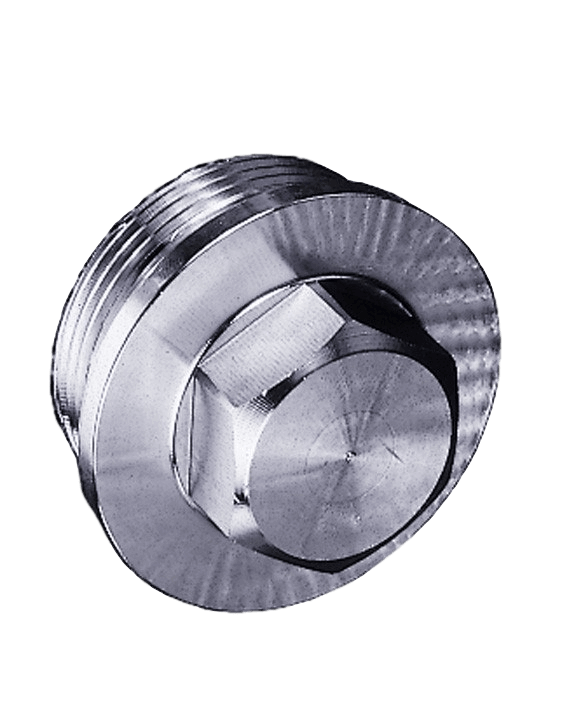 Hexagon Head Sealing Plug with collar, DIN 910, cylindrical male thread (G), #331, AISI 316